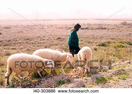 Woman View Large Photo Image Stock Photograph - Woman. Fotosearch