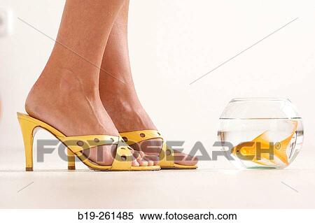 Woman View Large Photo Image Stock Photography - Woman. Fotosearch