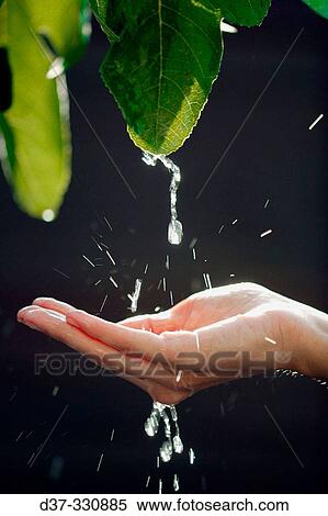 Stock Photography - Woman. Fotosearch