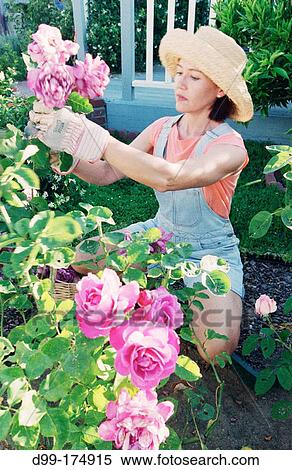 Woman View Large Photo Image Stock Photography - Woman. Fotosearch