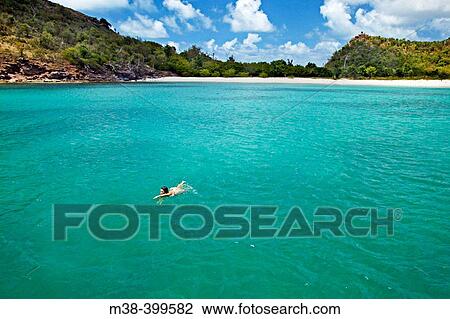Woman swimming in Deep Bay, Antigua View Large Photo Image Stock Image - Woman swimming in Deep Bay, Antigua. Fotosearch
