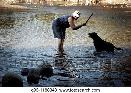 woman throwing stick for dog View Large Photo Image Stock Image - woman throwing stick for dog. Fotosearch