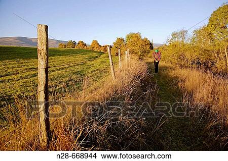 Woman walking on a trail. Villasante de Montija, Burgos province, Spain View Large Photo Image Picture - Woman walking on a trail. Villasante de Montija, Burgos province, Spain. Fotosearch