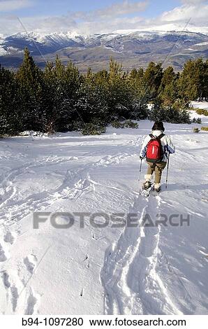 Woman walking with snowshoes, Valcebollere area, Languedoc-Roussillon, Pyrenees Orientales, France View Large Photo Image Stock Image - Woman walking with snowshoes, Valcebollere area, Languedoc-Roussillon, Pyrenees Orientales, France. Fotosearch