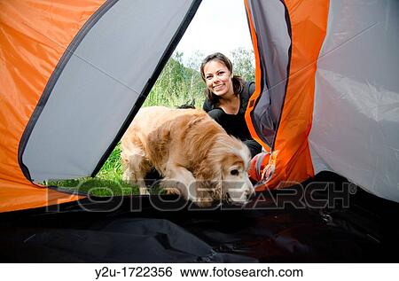 Woman watching inside a tent with her cocker spaniel dog View Large Photo Image Stock Photograph - Woman watching inside a tent with her cocker spaniel dog. Fotosearch