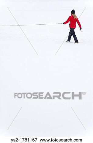 Woman with a leash walking in snowy landscape View Large Photo Image Stock Photo - Woman with a leash walking in snowy landscape. Fotosearch