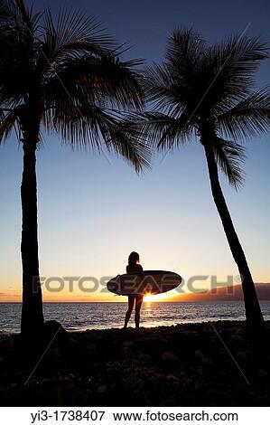 Woman with a surfboard watches a Maui, Hawaii sunset View Large Photo Image Stock Photo - Woman with a surfboard watches a Maui, Hawaii sunset. Fotosearch