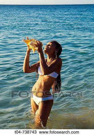 Woman with conch shell, Sosua, Dominican Republic View Large Photo Image Stock Image - Woman with conch shell, Sosua, Dominican Republic. Fotosearch