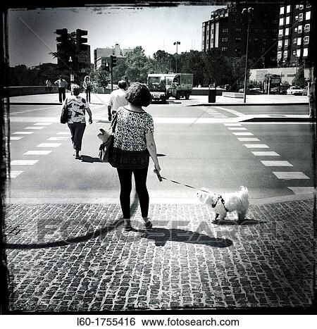 Woman with dog, Madrid, Spain View Large Photo Image Stock Photograph - Woman with dog, Madrid, Spain. Fotosearch