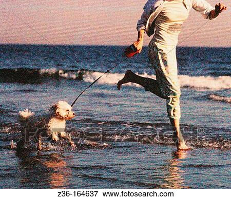 Woman with dog on a beach View Large Photo Image Stock Photo - Woman with dog on a beach. Fotosearch