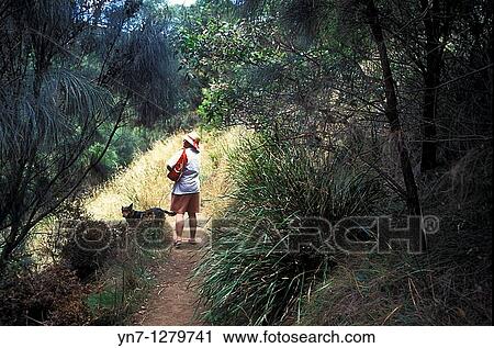 woman with dog on bush trail View Large Photo Image Stock Image - woman with dog on bush trail. Fotosearch