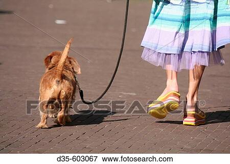 Woman with dog on leach in Amsterdam, Holland, Netherlands View Large Photo Image Stock Photo - Woman with dog on leach in Amsterdam, Holland, Netherlands. Fotosearch