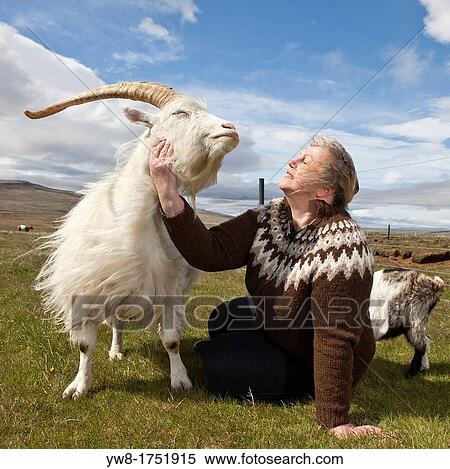 Stock Photography - Woman with Goat, Goat Farm, Iceland. Fotosearch