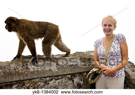 Woman with Monkey, Gibraltar View Large Photo Image Stock Image - Woman with Monkey, Gibraltar. Fotosearch