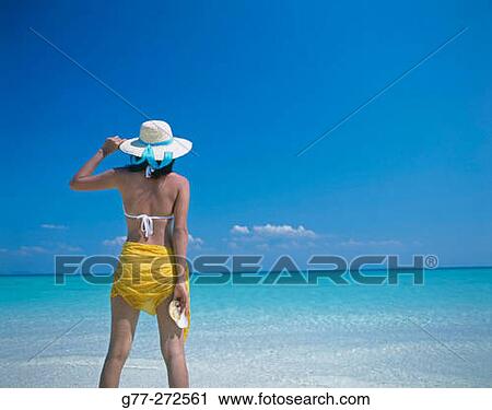 Woman with nautilus half shell. Koh Mor Island. Krabi. Thailand View Large Photo Image Stock Image - Woman with nautilus half shell. Koh Mor Island. Krabi. Thailand. Fotosearch