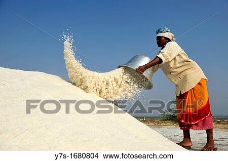 Woman working in Salt fields, Tamil Nadu, South India, Asia View Large Photo Image Picture - Woman working in Salt fields, Tamil Nadu, South India, Asia. Fotosearch