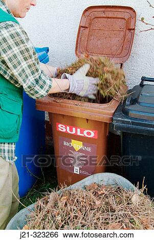 Woman working in the garden, putting leaves and needles into the special dustbin used for organic waste. Bavaria, Germany View Large Photo Image Stock Photograph - Woman working in the garden, putting leaves and needles into the special dustbin used for organic waste. Bavaria, Germany. Fotosearch