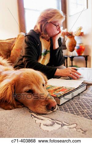 Woman working on laptop with golden retriever dog on couch View Large Photo Image Stock Photo - Woman working on laptop with golden retriever dog on couch. Fotosearch
