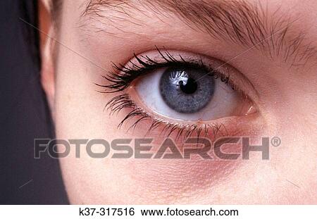Woman's blue right eye View Large Photo Image Stock Photograph - Woman's blue right eye. Fotosearch