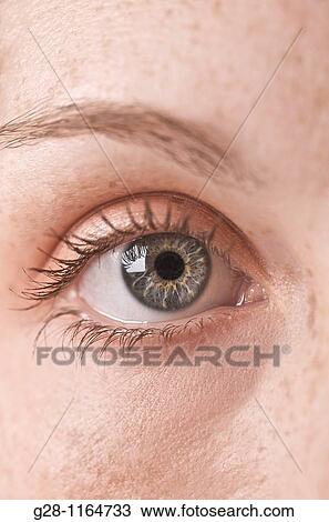woman's eye wide open (detail) View Large Photo Image Stock Image - woman's eye wide open (detail). Fotosearch