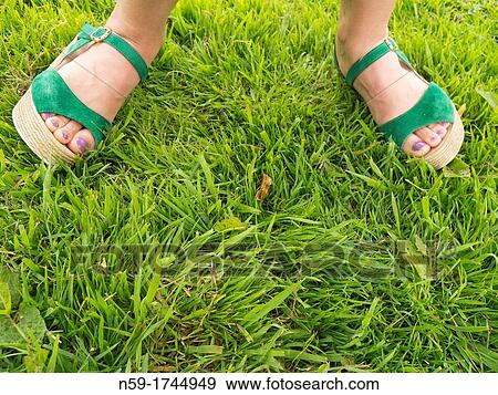 Stock Photo - Woman's feet in green sandals on grass. Fotosearch