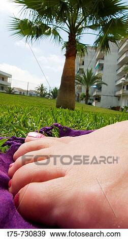 Woman's foot in summer View Large Photo Image Stock Photo - Woman's foot in summer. Fotosearch