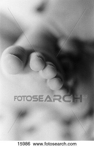 Woman's foot View Large Photo Image Stock Photograph - Woman's foot. Fotosearch