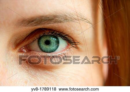 Woman's left eye View Large Photo Image Stock Photo - Woman's left eye. Fotosearch
