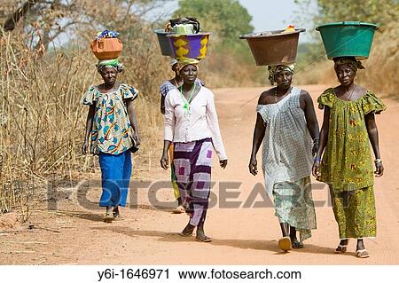 Women carry basins and goods on head bush road The Gambia View Large Photo Image Stock Image - Women carry basins and goods on head bush road The Gambia. Fotosearch
