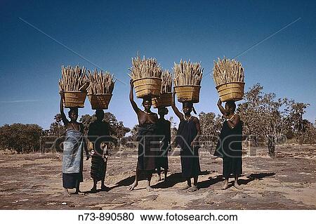 Women going to the market, Dogon Country, Mali View Large Photo Image Stock Image - Women going to the market, Dogon Country, Mali. Fotosearch