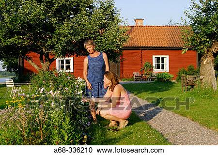 Women in the garden. Sweden View Large Photo Image Stock Image - Women in the garden. Sweden. Fotosearch