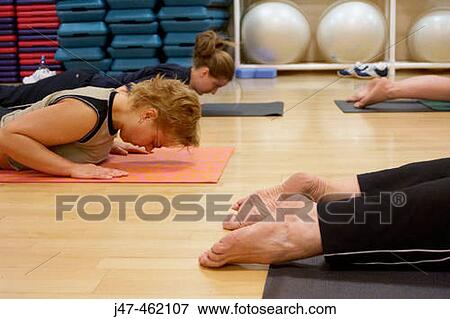 women stretching on their tummies in a pilates class View Large Photo Image Stock Photo - women stretching on their tummies in a pilates class. Fotosearch