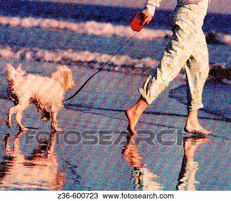 Women with dog on a beach View Large Photo Image Stock Image - Women with dog on a beach. Fotosearch
