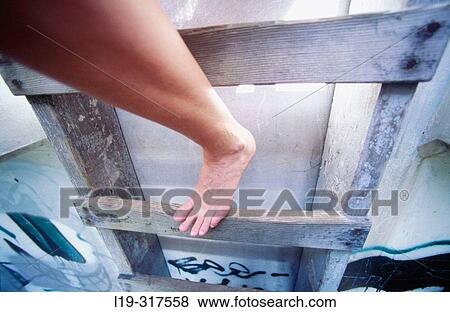 Women's foot View Large Photo Image Stock Photo - Women's foot. Fotosearch