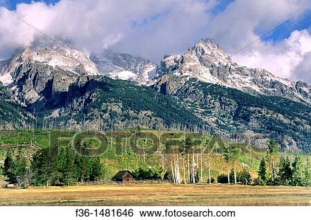 Wood barn and aspen trees under the Teton Range, dusted by first fall snow, Grand Teton Nat? l Pk, WYOMING View Large Photo Image Stock Photograph - Wood barn and aspen trees under the Teton Range, dusted by first fall snow, Grand Teton Nat? l Pk, WYOMING. Fotosearch
