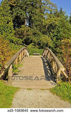 Stock Photography - wooden footbridge at Ceperley Meadow, Stanley Park, Vancouver, British Columbia, Canada. Fotosearch