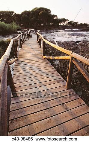 Stock Photograph - Wooden footbridge, Doana National Park. Huelva province, Andalucia, Spain. Fotosearch
