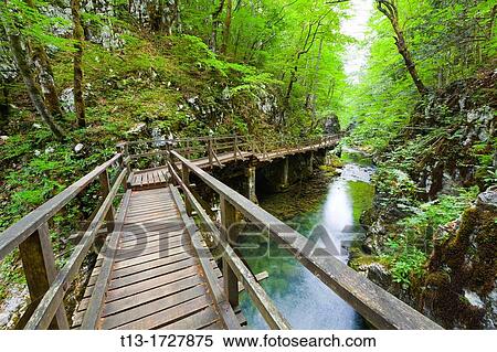 Stock Photography - Wooden footbridge in Kamacnik canyon near Vrbovsko in Croatia. Fotosearch