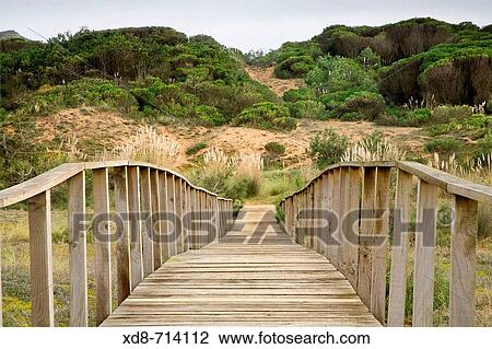 Wooden footbridge in sand dunes, Dunas de Liencres Natural Park, Cantabria, Spain View Large Photo Image Stock Image - Wooden footbridge in sand dunes, Dunas de Liencres Natural Park, Cantabria, Spain. Fotosearch