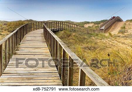Stock Image - Wooden footbridge in sand dunes, Dunas de Liencres Natural Park, Cantabria, Spain. Fotosearch