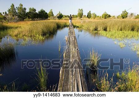 Stock Image - Wooden footbridge to Jekyll Point - Jekyll Island, Georgia USA. Fotosearch