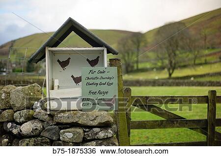 wooden house in the countryside to sell eggs, free range View Large Photo Image Stock Photograph - wooden house in the countryside to sell eggs, free range. Fotosearch