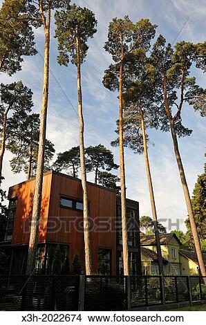 wooden house with contemporary architecture, Majori, Jurmala, Gulf of Riga, Latvia, Baltic region, Northern Europe. View Large Photo Image Picture - wooden house with contemporary architecture, Majori, Jurmala, Gulf of Riga, Latvia, Baltic region, Northern Europe.. Fotosearch