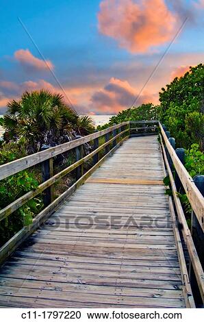 wooden path, miami, florida, usa View Large Photo Image Stock Image - wooden path, miami, florida, usa. Fotosearch