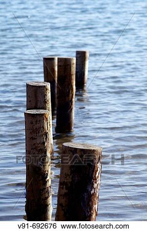 Wooden posts at lake bank, La Dehesa, El Saler. Valencia province, Comunidad Valenciana, Spain (February 2008) View Large Photo Image Stock Photograph - Wooden posts at lake bank, La Dehesa, El Saler. Valencia province, Comunidad Valenciana, Spain (February 2008). Fotosearch