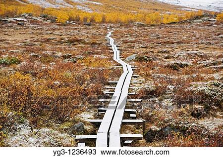 Wooden walkway through empty landscape with autumn snow, Kungsleden trail, Lapland, Sweden View Large Photo Image Stock Image - Wooden walkway through empty landscape with autumn snow, Kungsleden trail, Lapland, Sweden. Fotosearch