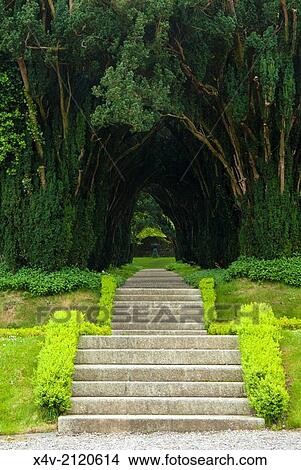 Picture - Woodstock Gardens and Arboretum, Inistioge, County Kilkenny, Leinster, Republic of Ireland (Eire), Europe.. Fotosearch