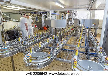 Workers at Dairy factory. MS Dairies, Selfoss, Iceland. View Large Photo Image Stock Image - Workers at Dairy factory. MS Dairies, Selfoss, Iceland.. Fotosearch
