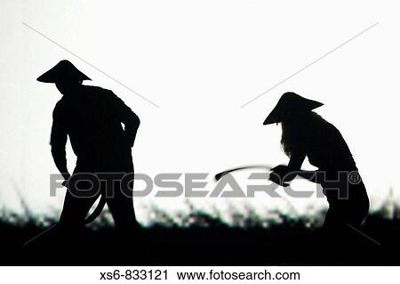 Workers in Rice Fields, Performance View Large Photo Image Stock Image - Workers in Rice Fields, Performance. Fotosearch