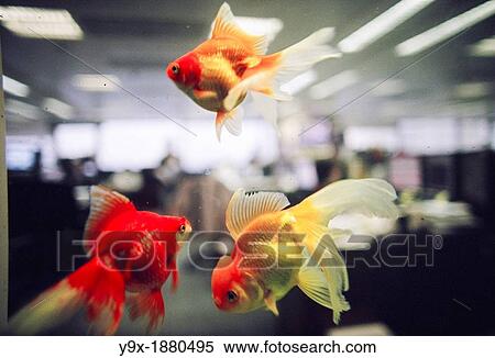 Workers in the office of Credit Suisse First Boston CSFB, a leading stockbroker and investment bank View Large Photo Image Stock Photography - Workers in the office of Credit Suisse First Boston CSFB, a leading stockbroker and investment bank. Fotosearch